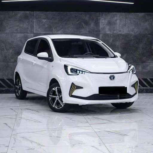 SAKLYORS XOX ELEKTRİKLİ ARABA