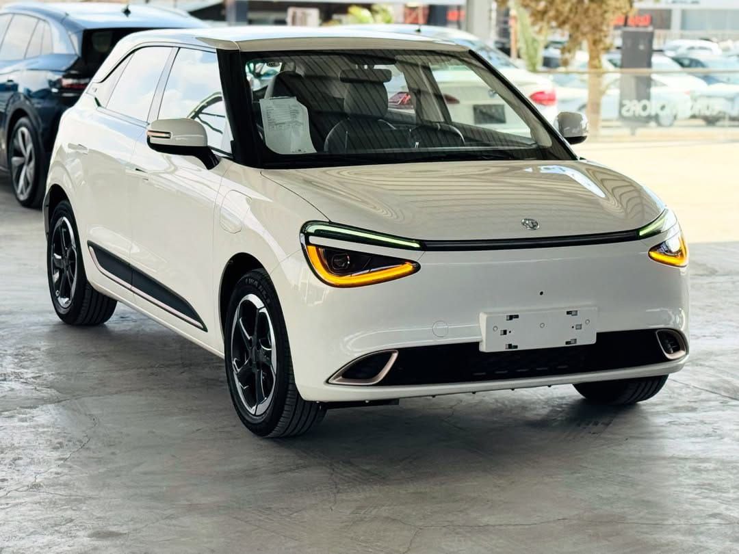 SAKLYORS NORA ELEKTRİKLİ ARABA